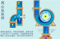 .离心泵的工作效率及能量转