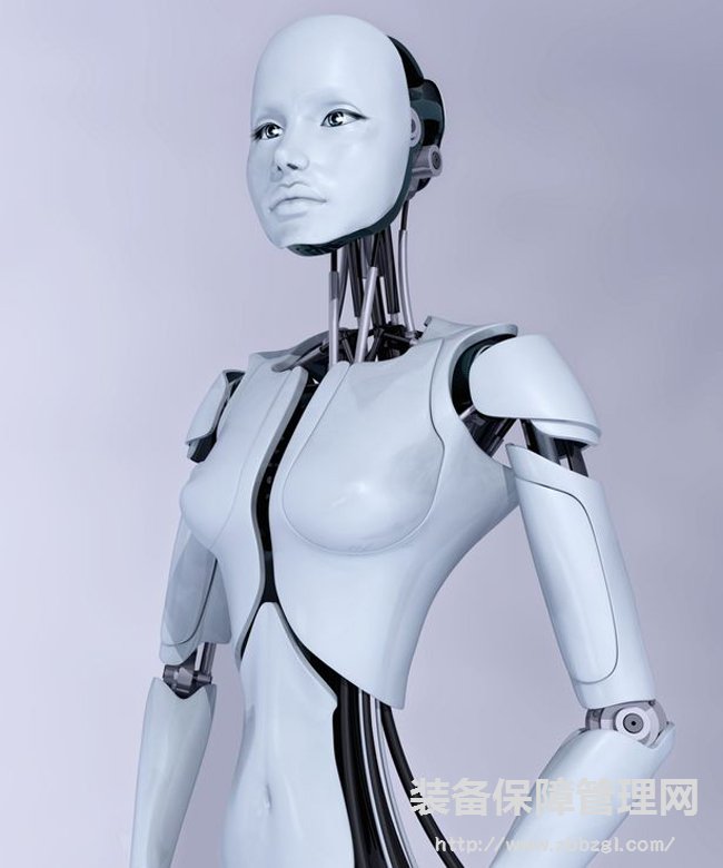 荷兰专家：2050年“机器人妓院”将开业