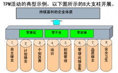 根据中国国情  对TPM认识推广应用的分析