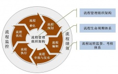 企业管理组织的建立 - 组织架构